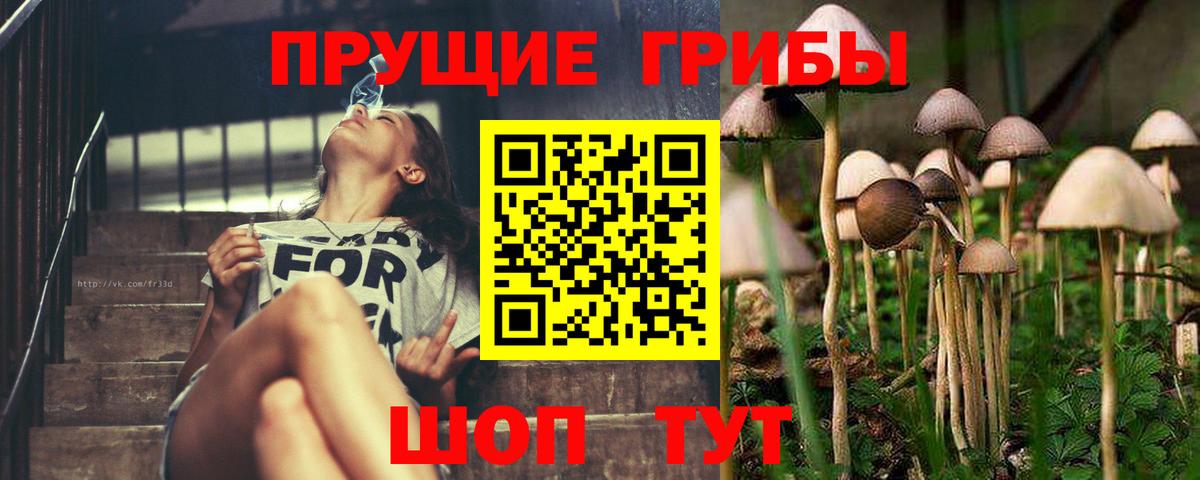 Галлюциногенные грибы Cubensis  Вход с VPN  Реутов  Псилоцибиновые грибы Psilocybine cubensis 